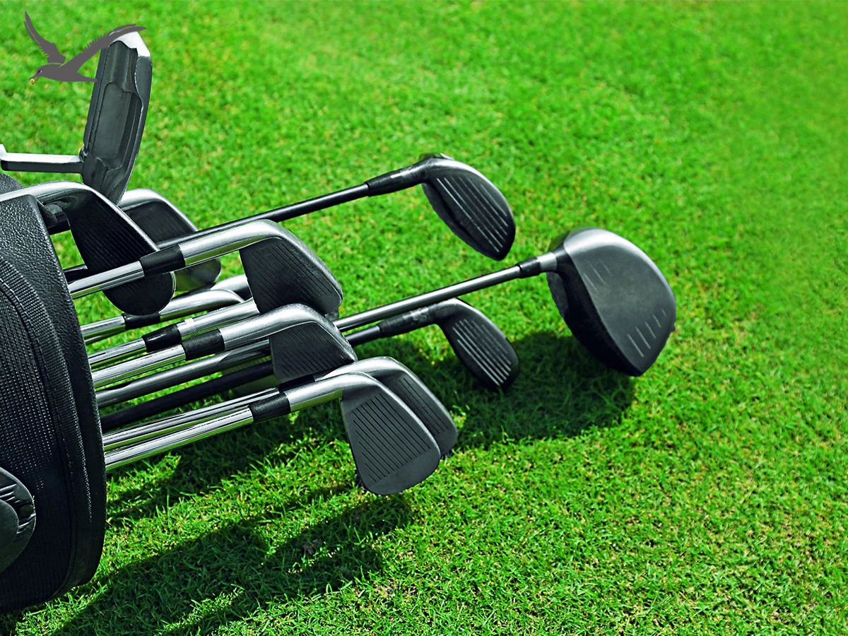 Golf klubu dərəcələri haqqında